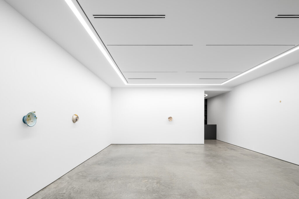 Lora Reynolds Gallery, Austin Texas
